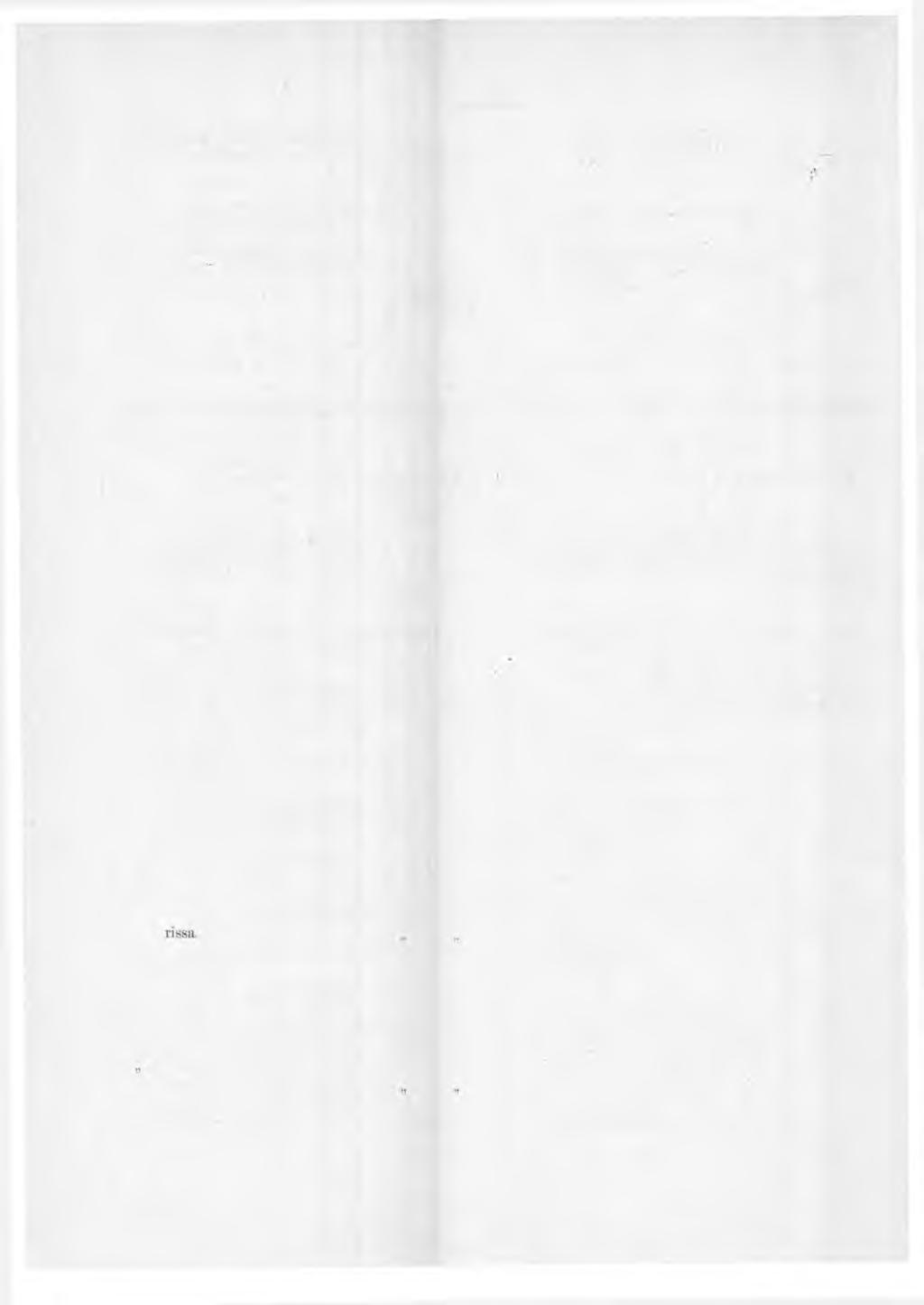 90 ( 18/ i2) postitoimituksenhoitaja Viitasaarella Hilja Harberg... l p. tammik. 1 p. huhtik- 1907: sijainen: harjoittelija Impi Krank.