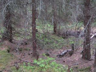 Voimala sijoittuu Mankaluodon metsätien viereen eikä erillistä huoltotietä tarvita.