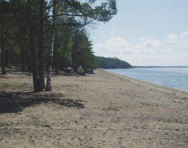 Säätiön edustajisto kokoontui kertomusvuoden aikana yhden kerran, vuosikokoukseen 23.3. Imatralla. Hallitus kokoontui kolme kertaa: 22.2. Lappeenrannassa 