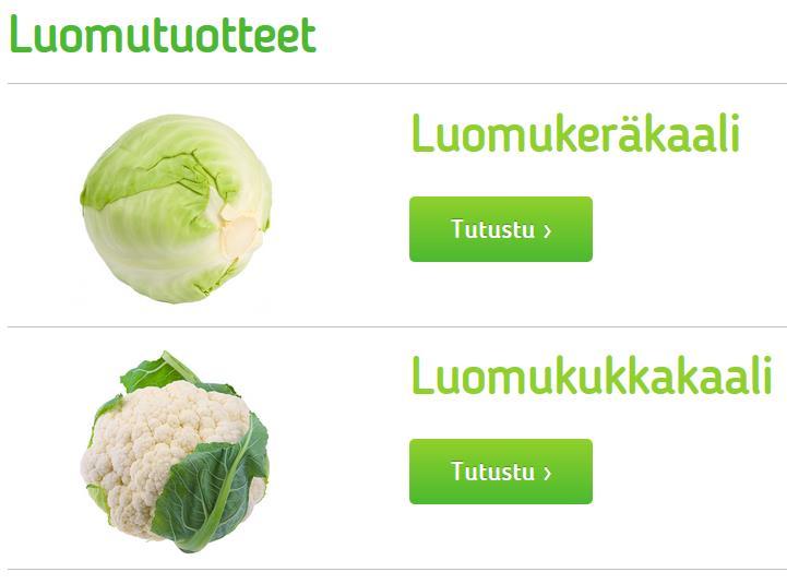 Luomua pieneen tuotantoon Luomuporkkanaa n.