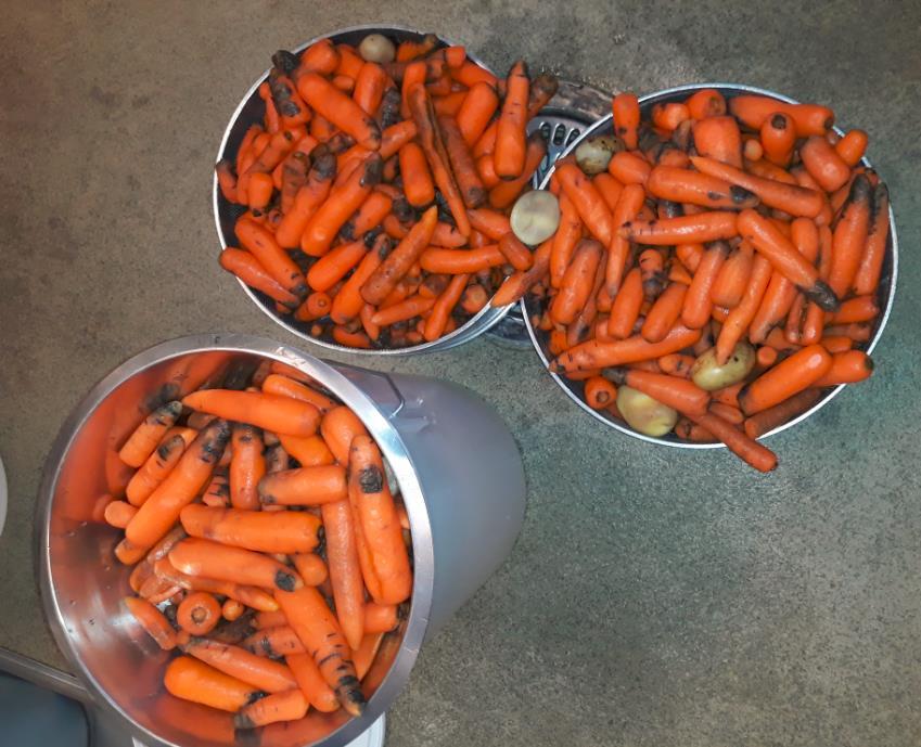 Sivuvirtoja suuresta ruokatehtaasta 1000 tonnia vuodessa vaihtelee - tuoretta vihannesta ja juuresta. Tulee alkaen elokuusta ja jatkuu joulukuuhun sen mukaan miten on satokausi.