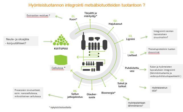 Metsäbiomassat ovat jättimäinen rehuvaranto, jos opitaan teknologia niiden hyödyntämiseen Kalankasvatusta suunniteltu sellutehtaiden yhteyteen miksi ei