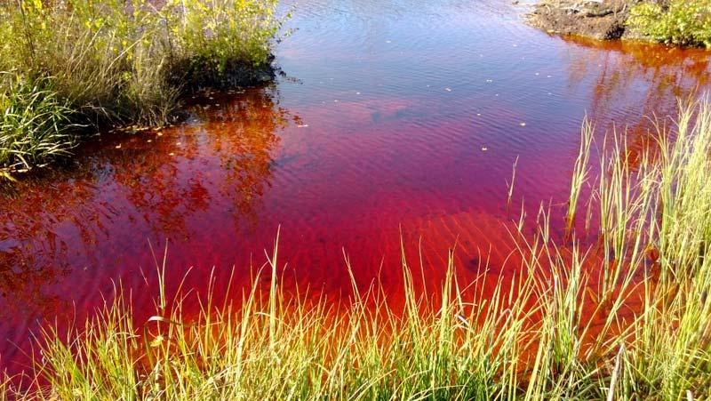 Hapontuoton arviointi Yleisesti käytettyihin staattisiin hapontuottotesteihin (ABA ja NAG) liittyy mineralogisia epävarmuustekijöitä, esimerkiksi: Hapontuottopotentiaali voidaan yliarvioida, jos