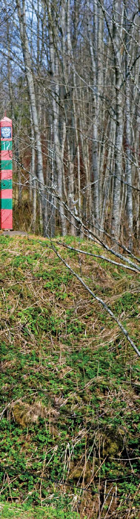 Fotod: Jüri Pere Laudtee on paigaldatud üsna eeskujulikult, piirivalvurid saavad liikuda jalgu leotamata. Küll aga tuleb selle ümbert ka mets maha võtta.