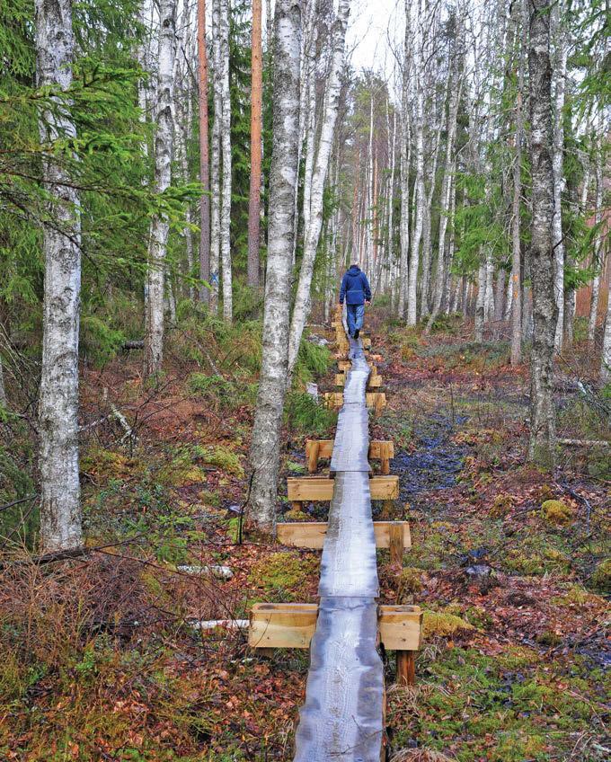 Venemaa pool on oma ajateenijatest piirivalvuritele rajanud ümarpalkidest tee, aga see lebab otse samblavaibal ja on kohati vee all. Ka siin seenelised jalutada ei tohi.