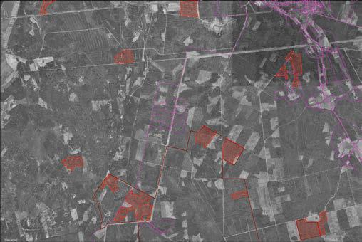 Fotod: maa-amet Lendorava leiukohtade (piltidel punaselt tähistatud) ümbruse lagedaks raiumist kinnitavad ilmekalt ortofotod. Mustvalge foto on tehtud 1995.