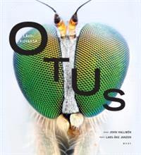 Lataa Lähikuvassa otus Lataa ISBN: 9789510399378 Sivumäärä: 189 Formaatti: PDF Tiedoston koko: 39.