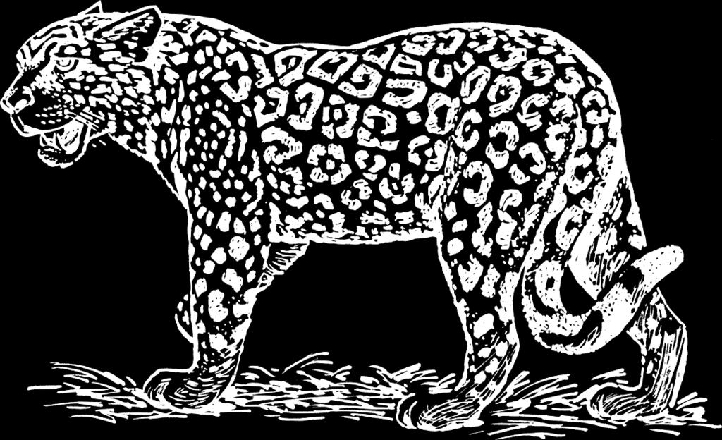 112 PART 3. ESPAÑOL In the jungle on a river on a dark night rides a canoe. (x2) They watch it from the thicket, the jaguars and the boas. They protect it from the thicket, the jaguars and the boas.