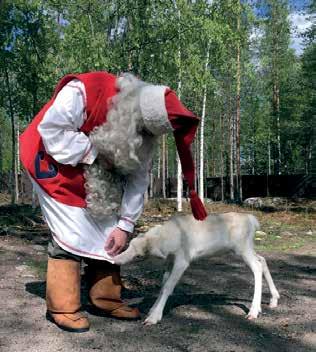 MEET SANTA S REINDEER ON THEIR SUMMERTIME PASTURE Located in the very heart of the Santa Claus Village, Santa Claus Reindeer allows you to get up close with reindeer also in the summer months.