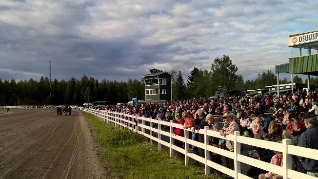 L7/8 OH MY GOD S: Ruuna on tehnyt hyvä alkukauden. Harjoituksissa hevonen on ollut hyvän tuntuinen ja se tuntuu menevän edelleen eteenpäin.