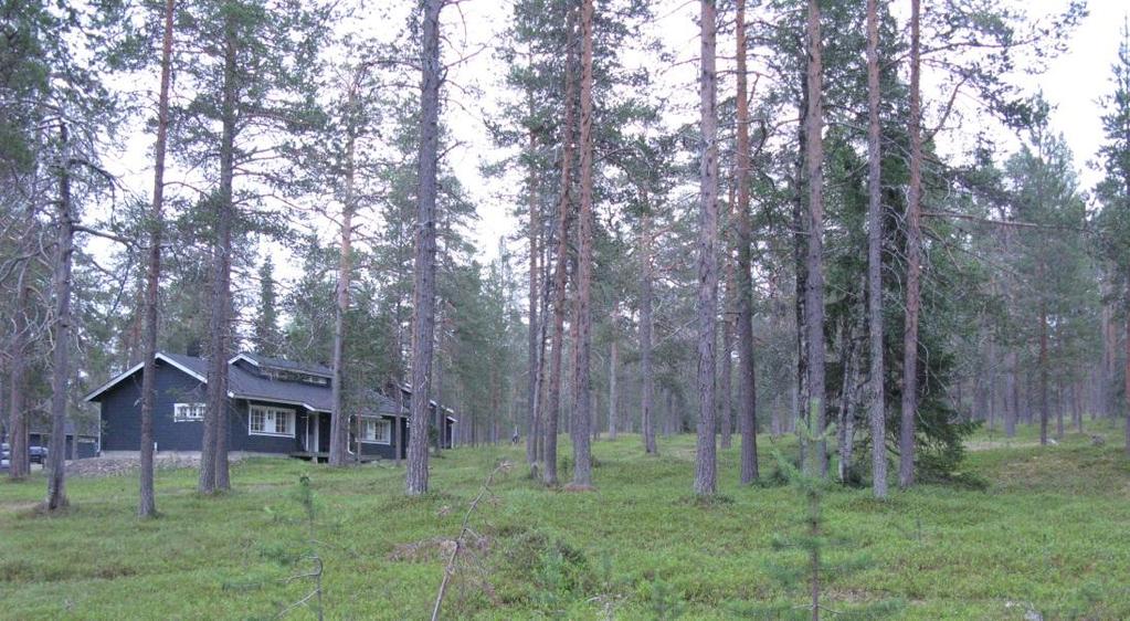 Pyhä Matildanlokki,