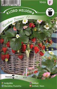 Fragaria x ananassa Goji-marja