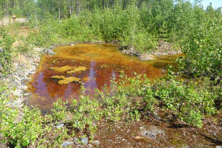 Taulukko 23. Kortepuron veden kemiallinen laatu, Ruostesuon kaivosalue, Kiuruvesi, Pohjois-Savo. Näyte otettiin 21.6.2016. Koordinaatit ja vedestä mitattu ph-arvo on esitetty taulukossa 22 (RUO12).