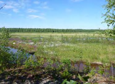 hepadon läpi kuivatetulle järvialueelle.