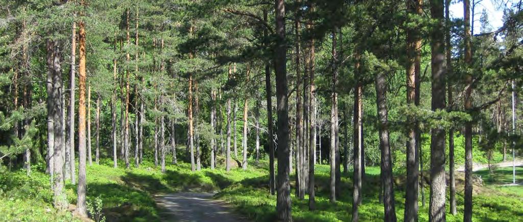 Asemakaava Alueella ei ole voimassa asemakaavaa. Rakennusjärjestys Sipoon kunnanvaltuusto on päätöksellään 11.12.2017 129 hyväksynyt Sipooseen uuden rakennusjärjestyksen.