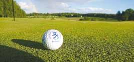 vuosikerta ISSN-L 1797-2094 Seniorigolfari ilmestyy kaksi kertaa vuoessa Julkaisija Suomen Golfseniorit r.y. Raiokatu 20, 00093 VALO puh. (09) 3481 2590 www.suomengolfseniorit.