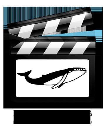 Baltic herring - lyhytelokuvakilpailu 2018 Baltic Herring lyhytelokuvakilpailu Baltic Herring 18 AMATÖÖRIT: Lyhytelokuvailpailun finalistit: Baltic Herring 18 PRO/AMMATTI- LAISTEN SARJA: Baltic