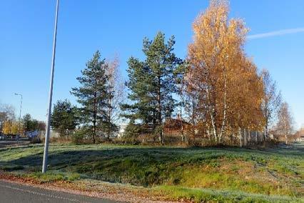Suunnittelualueen eteläosa on avointa peltoaluetta, joka on kansainvälisesti tärkeää lintualuetta (Oulun seudun kerääntymisalue).