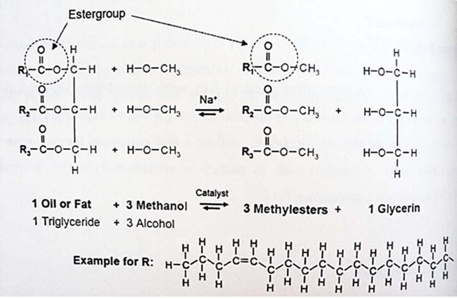14 KUVA 1. Triglyseridin ja alkoholin transesteröintireaktio (Lindorfer 2010, 49) Biodieseliä valmistettaessa triglyseridi muuttuu ensin diglyseridiksi sitten monoglyseridiksi ja lopulta glyseroliksi.