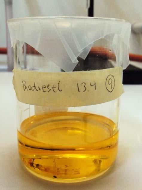Biodiesel sisältää epäpuhtauksia, jos erotussuppiloon muodostuu kaksi eri faasia. Epäpuhtaudet laskeutuvat raskaampana aineksena erotussuppilon pohjalle.
