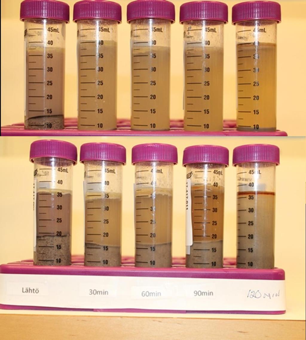 Esikoe: entsymaattinen hydrolyysi (Ermitaasi) Prot (g/100 ml) 2,5 4,1 3,9 3,7 4,6 Vesilisäys 1 + 1 Prot (g/100 ml) 4,4 3,9 5,1 4,6 11,2 Antimikrobiset vaikutukset testattu seuraavia mikrobeja