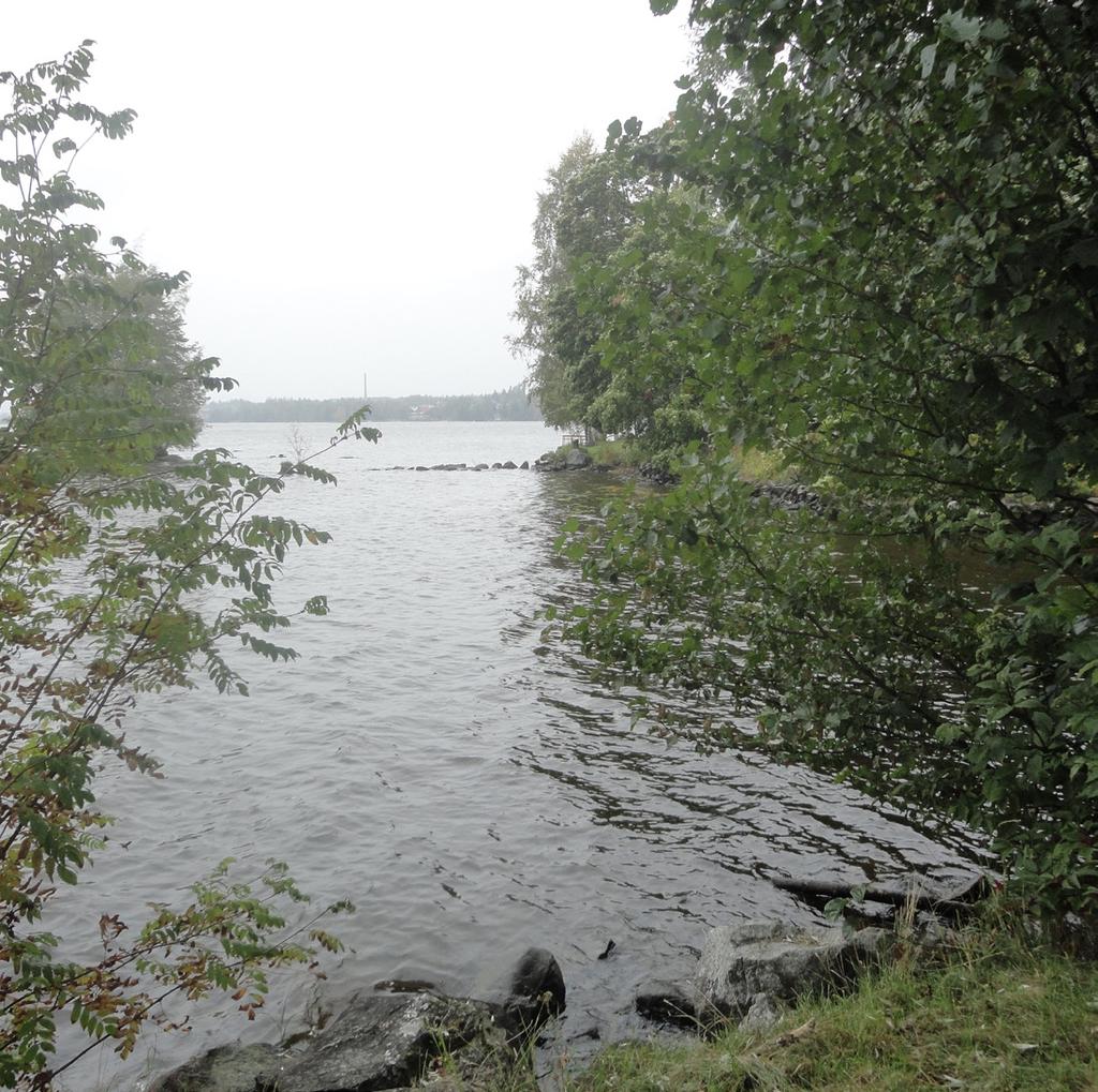 Tiheintä asutus on Vammaskosken molemmin puolin olevilla niemekkeillä, joilta se on levinnyt etäämmäs selänteiden reunaosiin ja laaksoihin.