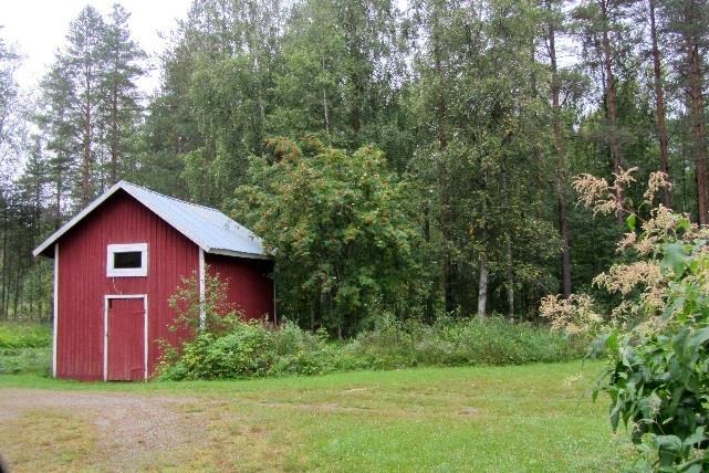 KIOSKI-raportti on selvityksen lopussa