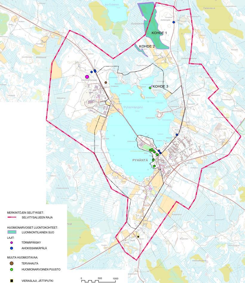 Luontoselvityksen kasvillisuus ja luontotyyppikartta.