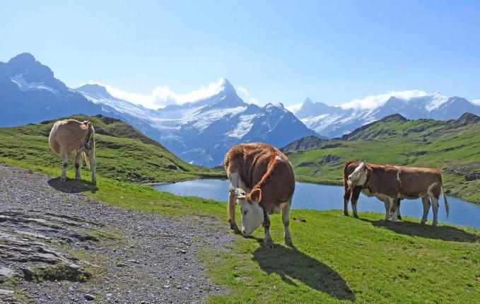 Mürren - Trümmelbachin