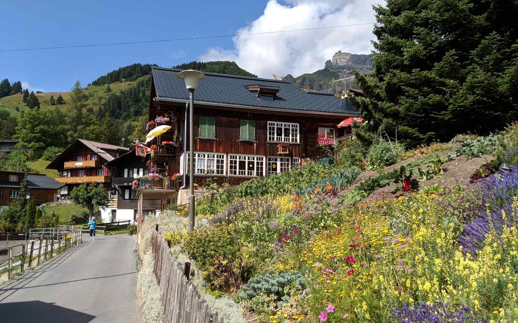 Lähes kolme kilometriä Grindelwaldin kylän yläpuolelle nousevat Öykkäri (Eiger 3970 m), Munkki (Mönch 4107 m) ja Neitsyt (Jungfrau 4158 m) ovat maisemassa kuin suojelijoina valvomassa, että alhaalla