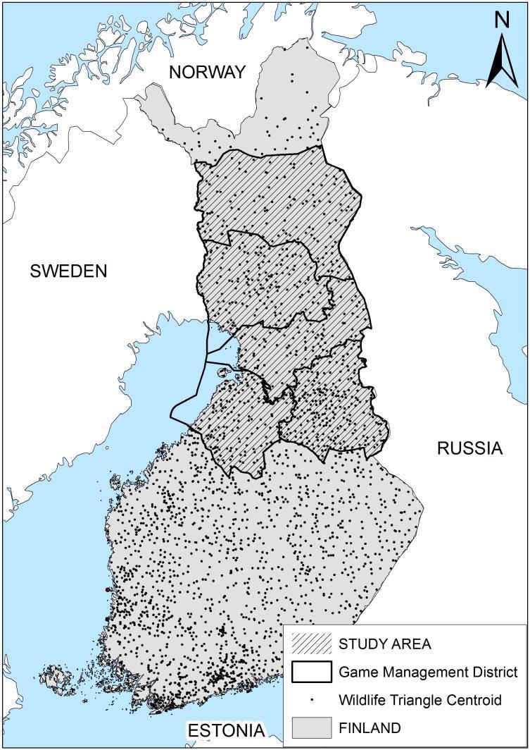 Suomen Riista murroksessa - Riekko Kannan kehityksen ja säädatan välisistä yhteyksistä on tekeillä jänisjutun kaltainen tutkimus.