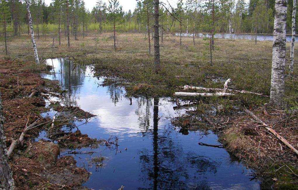8.8 PINTAVALUTUSKENTTÄ Pintavalutuskenttä on metsän ja vesistön välissä oleva käsittelemätön alue, jolle johdetaan metsänkäsittelyalueen vedet.