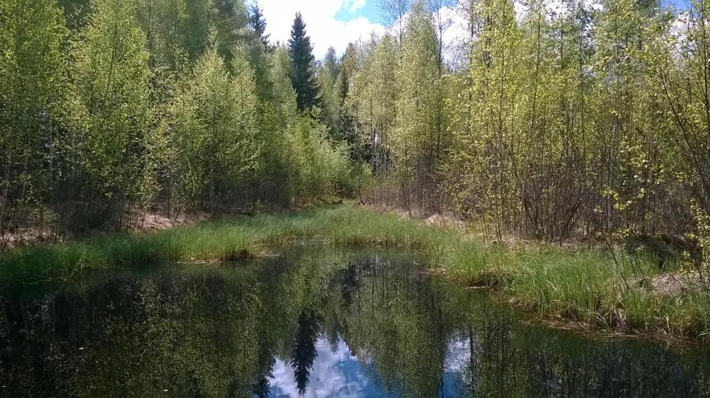 Laskeutusaltaan jälkeen vesi suunnitellaan johdettavaksi pitkänmalliseen ja kapeaan kosteikkoon. Alueen maankäyttö huomioiden tämän pienen kosteikon pinta-alaksi on suunniteltu noin 1 450 m 2.