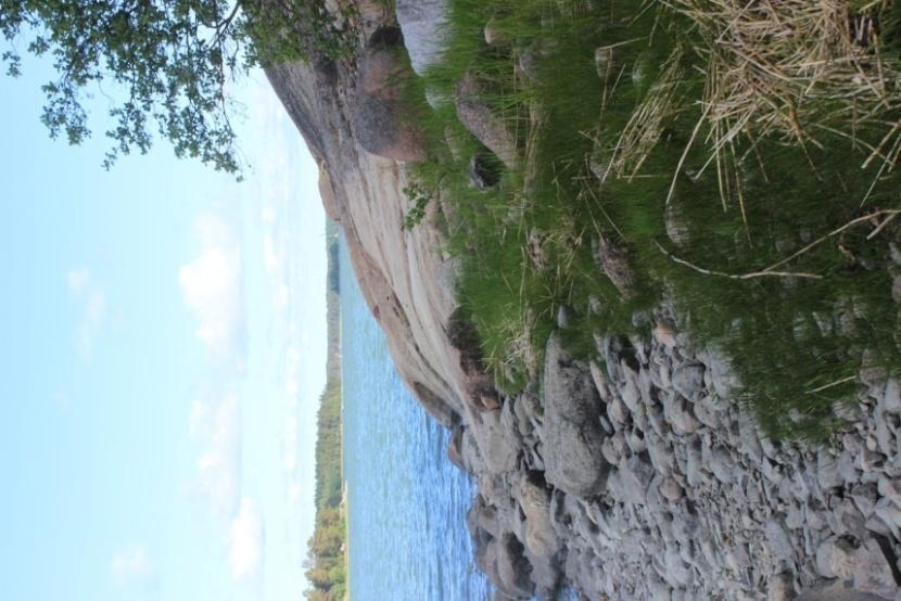12 Kuva 13: Osittain kasvipeitteistä kivikkoista rantaa 2.3.2 Pukholman kuvio 2 Pukholma on metsäinen saari.