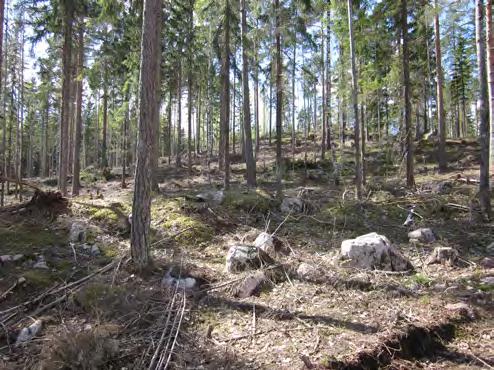 . Suunnittelun lähtöohdt - Utgångspuner. Suunnittelulueen yleisuvus. Allmän besrivning v området Suunnittelulueen oonispint-l on noin 0 hehtri. Alue sijitsee noin, m Niilän tjmn pohjoispuolell.