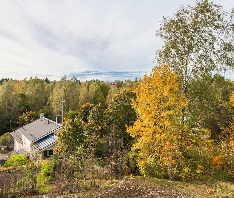 3 Uusia, avaria koteja vehreään Metsälään Oulunkylän Metsälän alue on matalaa, kylämäistä pientaloasutusta. Ympäristö on mäntyjen ja lehtipuiden kuvioimaa, kallioista maastoa.
