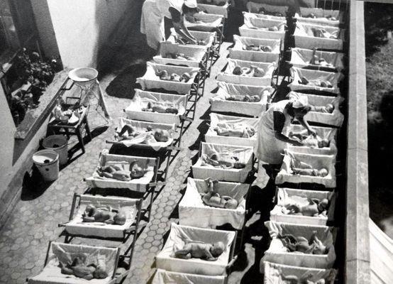 Syynä oli tappava tauti, joka vainosi perhettä kotona Rovaniemen maalaiskunnan Tapionharjulla. Sylvi Tapion aviomies Valo Tapio oli sairastunut tuberkuloosiin 1951.