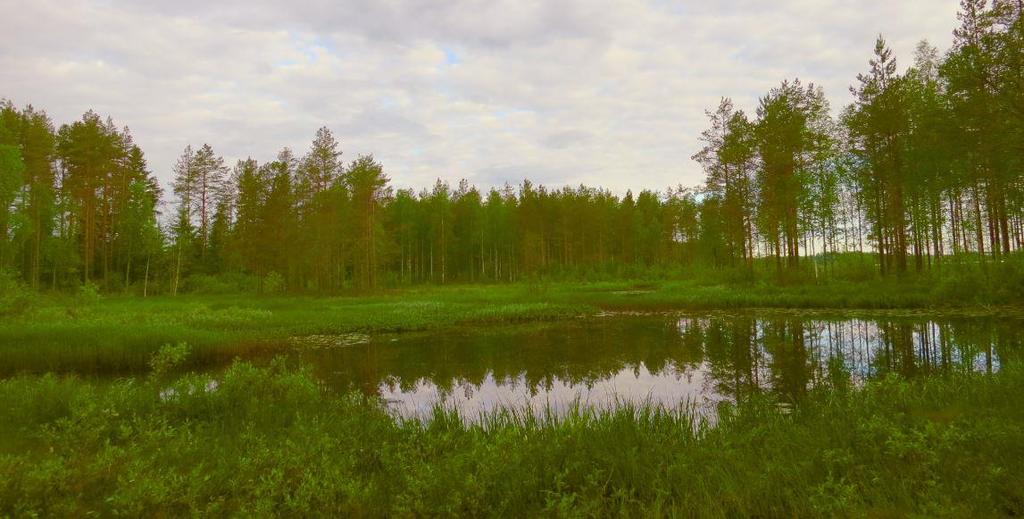 Selvitysalueen luoteispuolella, noin 1,5 kilometrin etäisyydellä osayleiskaava-alueen rajasta sijaitsee Natura-alue Kivijärvi (FI1104405). Alue on suojeltu lintudirektiivin perusteella (SPA).