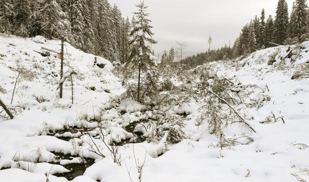 3. Kirjallisuus Airaksinen, O. & Karttunen, K. 2001. Natura 2000-luontotyppiopas. Ympäristöopas 46. Suomen ympäristökeskus. Saatavilla https://helda.helsinki.