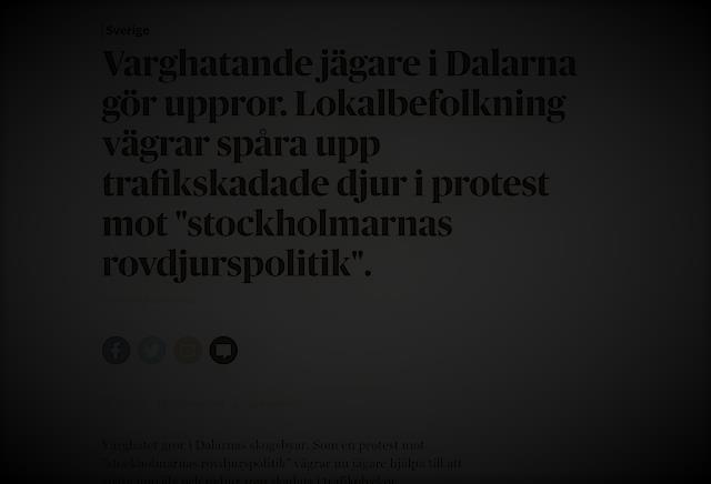 Journalisti voimistaa lähteen äänensävyä Sutta vihaavat metsästäjät Taalainmaalla käyvät kapinaan. (Varghatande jägare i Dalarna gör uppror. DN 22
