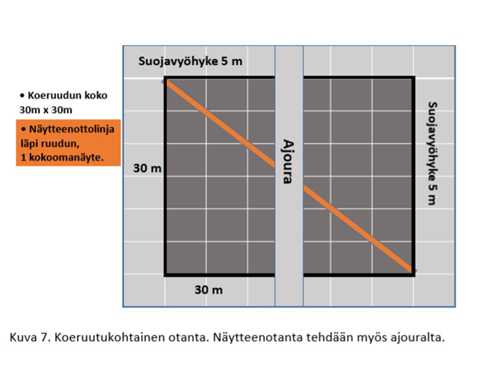 Koeruutu Tapio