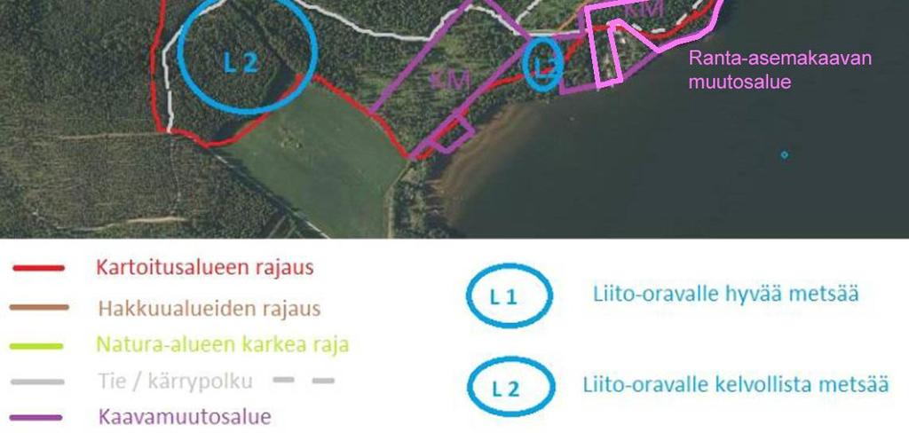 120 metrin päässä alueesta, sijaitsee yksi Harolanlahden lehtoalueista, osayleiskaavaan osoitettu luo-2 kohde 7.3.11 Pieniemen lounaispuolen metsäluhdat.