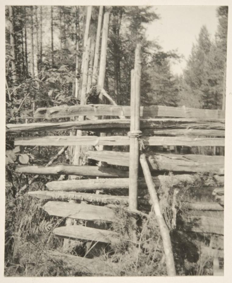 Kuva: Joroinen, aidannurkkaus; nurkkauksessa ovat aidakset poikkisahaamattomia, 1919.