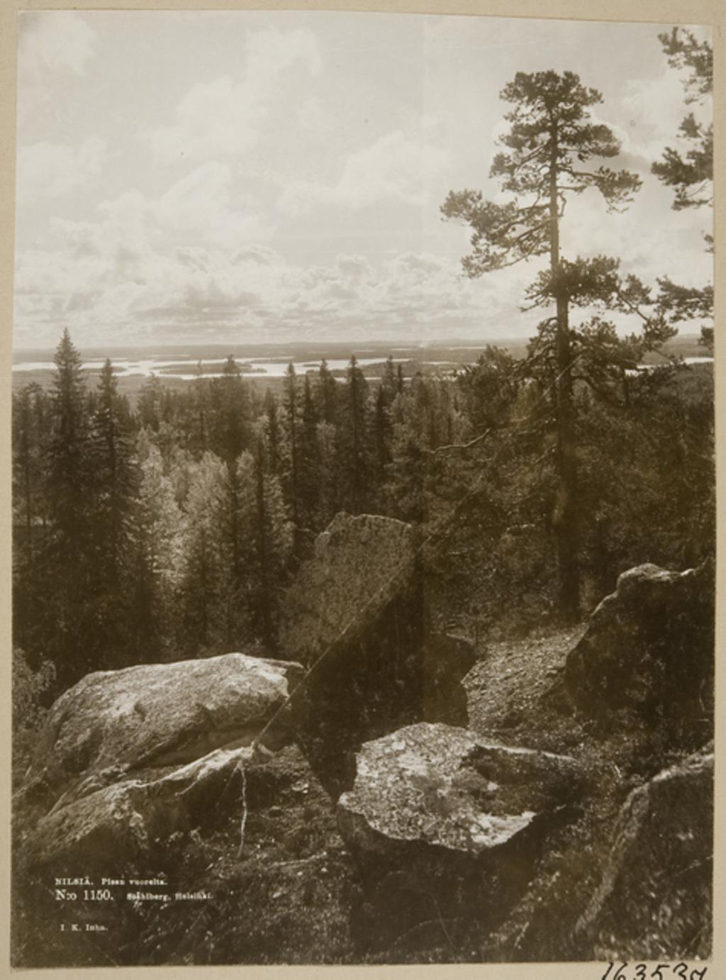 Kuva: Näkymä Nilsiän Pisan vuorelta 1890-luvulla. I.