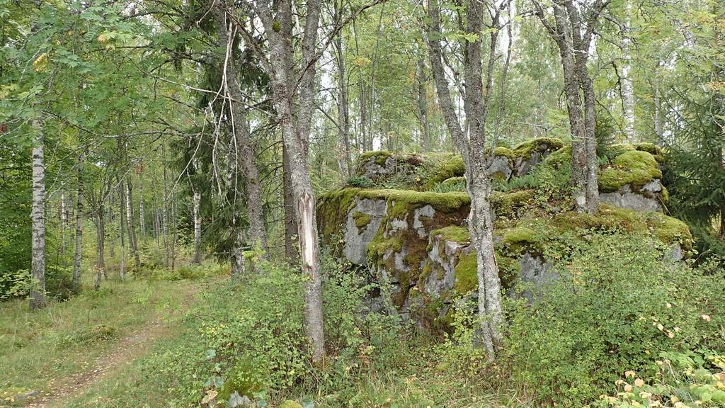 Rakentuneiden kiinteistöjen koillispuolelle johtavalle muutos-osalle vie pieni kärrypolku, jonka varressa kasvaa myös muutamia pähkinäpensaita (kuva 3), jotka on mahdollisuuksien mukaan hyvä säästää.