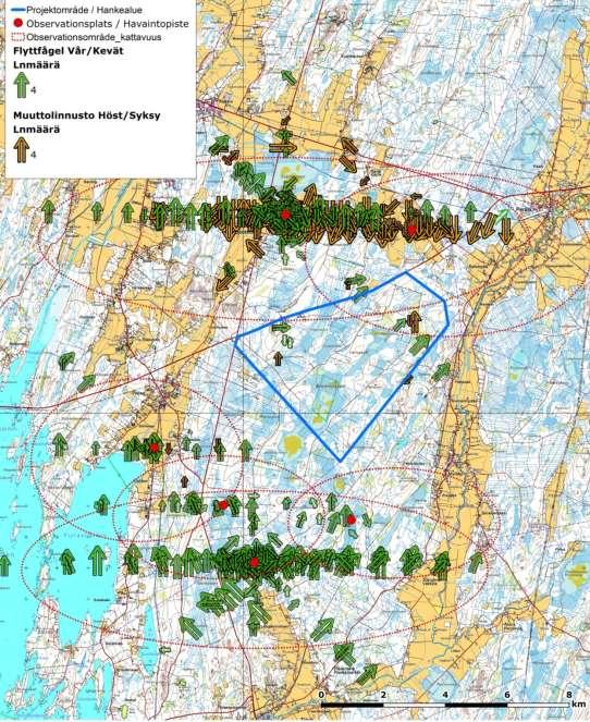 16(19) Kuva 13. Muuttolintuhavainnot vuosina 2012-2013. Nuolet osoittavat havaittujen muuttavien lintujen suunnan ja määrän logaritmisella (ln) asteikolla. Kuva sisältää kaikki havaitut lintulajit.