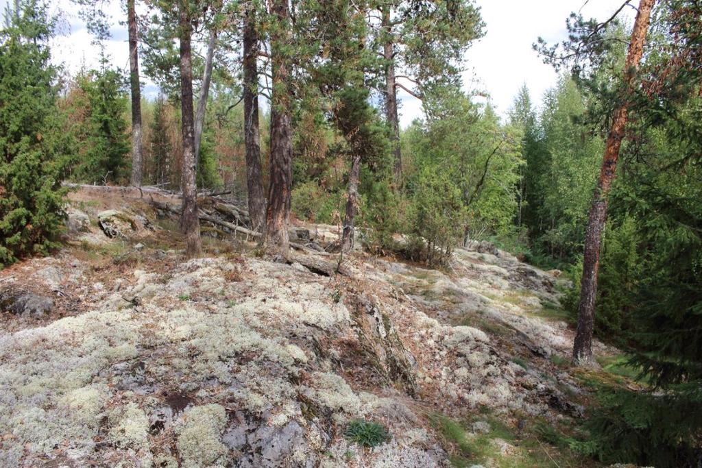 Kuva 12: Kitumaan