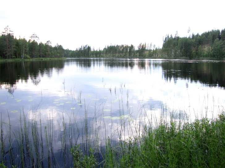 Meruunlammen kapea ja matala keskiosa itäpäästä kuvattuna. 14. Pieni-Otikainen (LIITTEET, Kartta 2.