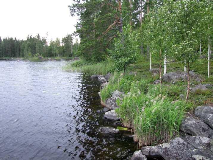 21 (Kuva 23.). Kuva 22. Likolahden pohjoisrantaa lahden perukkaan päin kuvattuna. Kuva 23. Likolahden etelärannan maisemallisesti merkittävät rantakalliot. Kuva 24.