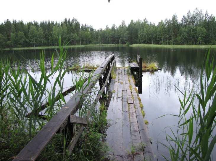 53 pesimäympäristössään. tai muita luonnonarvoja, jotka olisi erityisesti huomioitava maankäytön suunnittelussa. 31. Kalaton (Metsäsianvuori) (LIITTEET, Kartta 4.